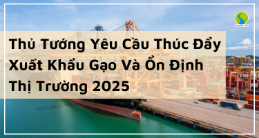 Thủ Tướng Yêu Cầu Thúc Đẩy Xuất Khẩu Gạo Và Ổn Định Thị Trường 2025