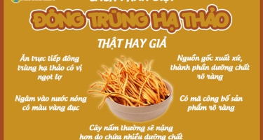 Cách Phân Biệt Đông Trùng Hạ Thảo Thật & Giả