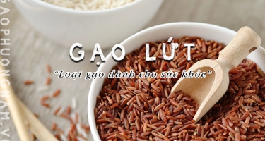 Gạo Lứt: Công Dụng, Cách Dùng và Lợi Ích Cho Sức Khỏe