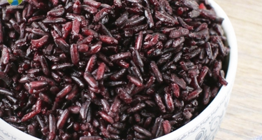 Bệnh tiểu đường nên ăn gì thay cơm?