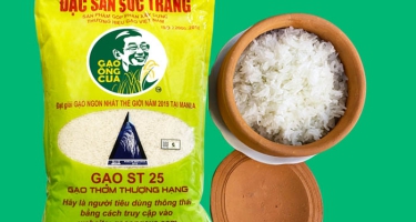 Gạo ST25 là gì? Xuất xứ từ đâu? Ai đã nghiên cứu, lai tạo ra lúa ST25?