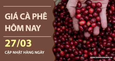 Giá cà phê hôm nay 27/03/2026