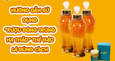 Hướng Dẫn Sử Dụng Rượu Đông Trùng Hạ Thảo Đúng Cách