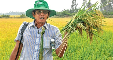 Kỹ sư Hồ Quang Cua: Nỗ lực bảo vệ thương hiệu, nhưng gạo giả vẫn tràn lan