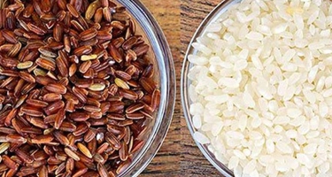 Loại gạo lứt nào tốt cho người tiểu đường? Bí quyết chọn gạo giúp ổn định đường huyết