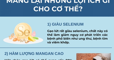Người tiểu đường ăn gạo lứt được không? Cách dùng đúng để kiểm soát đường huyết hiệu quả