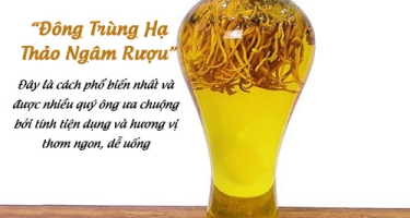 Rượu Đông Trùng Hạ Thảo Ngâm Bao Lâu Mới Có Thể Uống Được?