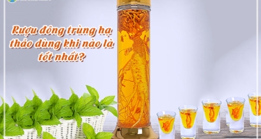 Rượu Đông Trùng Hạ Thảo Nên Uống Lúc Nào Là Tốt Nhất?