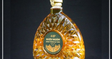 Rượu Ngâm Đông Trùng Hạ Thảo Uống Có Tốt Không?