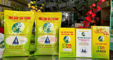 Gạo Ông Cua ST25 làm giả tràn lan: Bài học cảnh báo vì sự lợi dụng thương hiệu