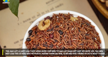 Trà Gạo Lứt có tác dụng gì đối với sức khỏe? Cách sử dụng hiệu quả